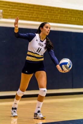 stavnetcheig_090615_dk