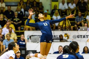 Georgia Tech volleyball Gabriela Stevnetchei