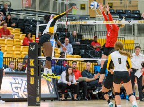 Kennesaw State volleyball Anaiah Boyer