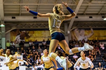Georgia Tech volleyball Mariana Brambilla